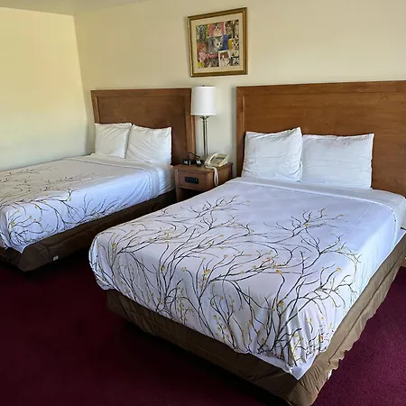 Vista Villa Motel Ludington Extérieur photo